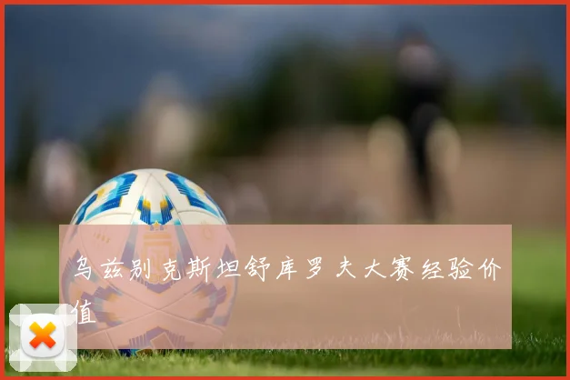 乌兹别克斯坦舒库罗夫大赛经验价值