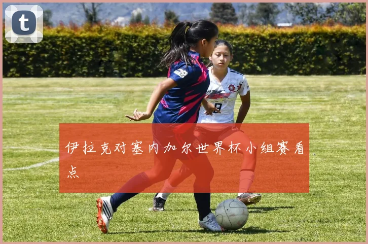 伊拉克对塞内加尔世界杯小组赛看点