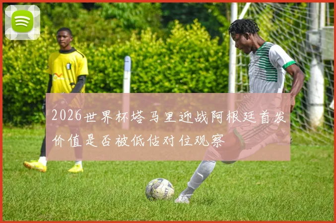 2026世界杯塔马里迎战阿根廷首发价值是否被低估对位观察